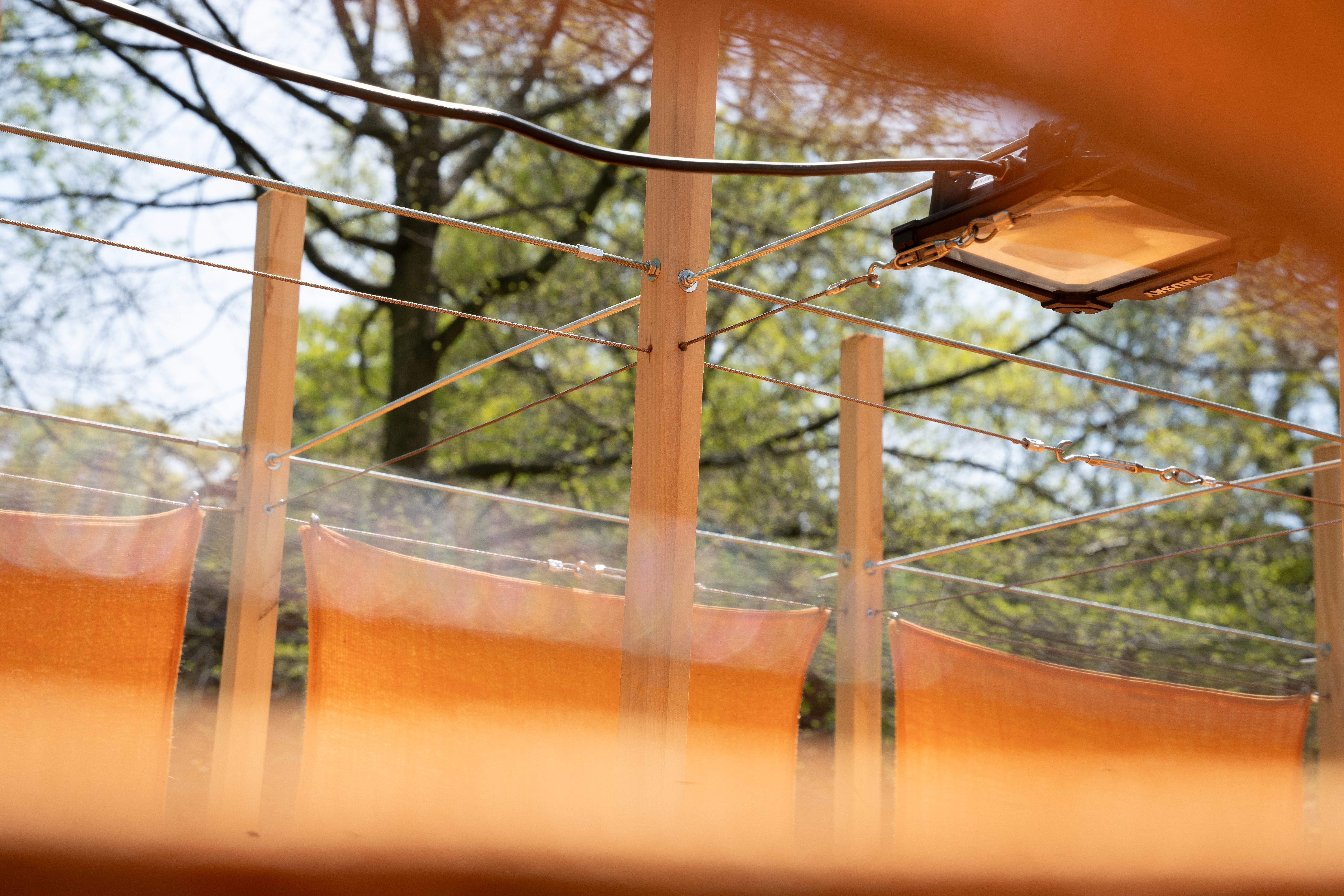 Photo of STRATA installation by Eric Rannestad. Harvard Arts Festival. Cambridge, MA. 2025