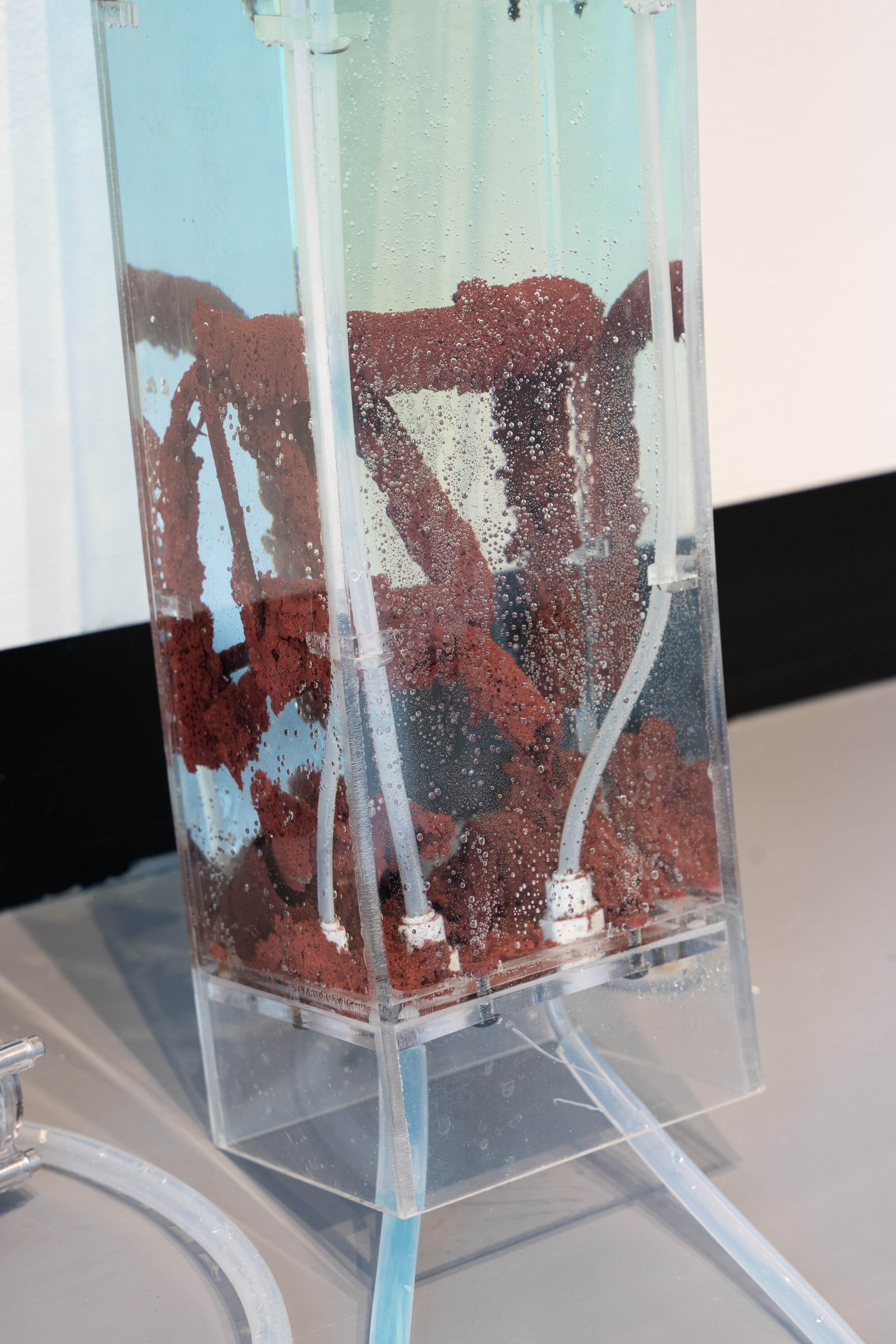 Photo of Holding Patterns installation by Eric Rannestad. Gallery 92, Harvard University. Allston, MA. 2026