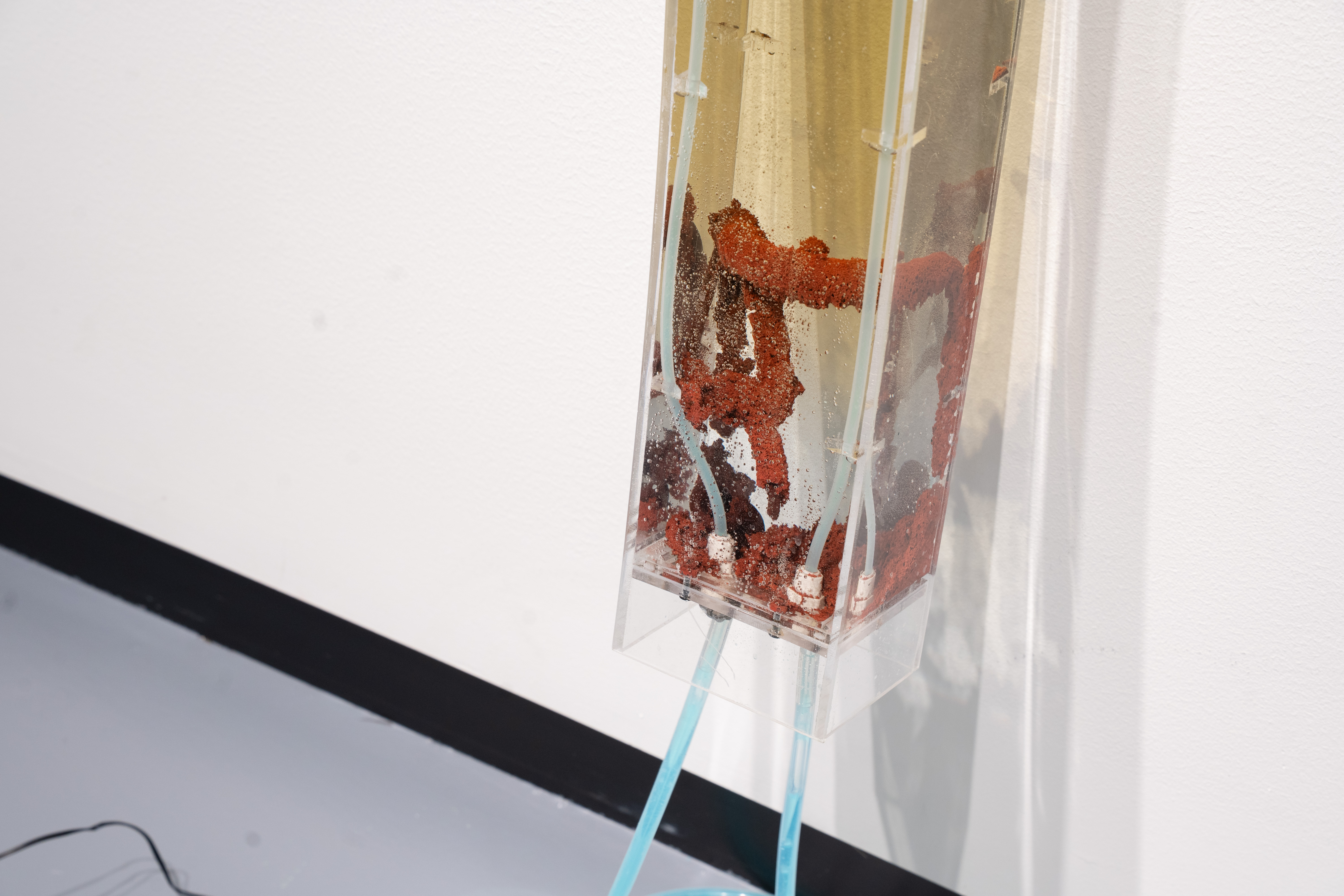 Photo of Holding Patterns installation by Eric Rannestad. Gallery 92, Harvard University. Allston, MA. 2026