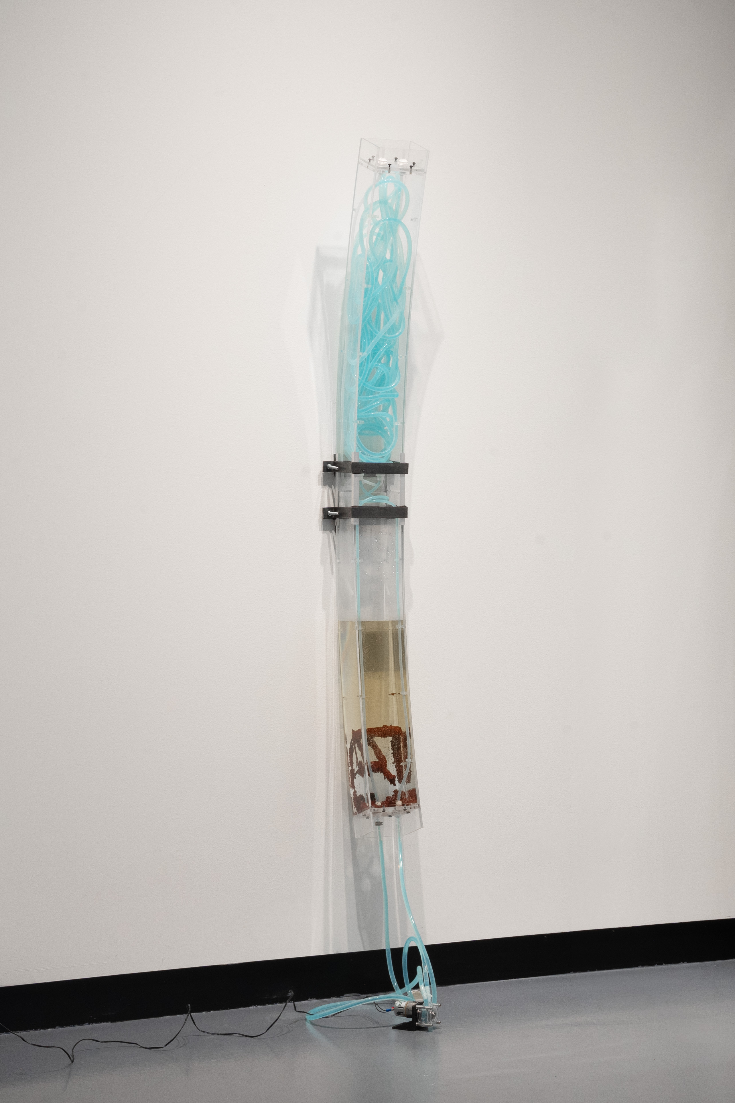 Photo of Holding Patterns installation by Eric Rannestad. Gallery 92, Harvard University. Allston, MA. 2026