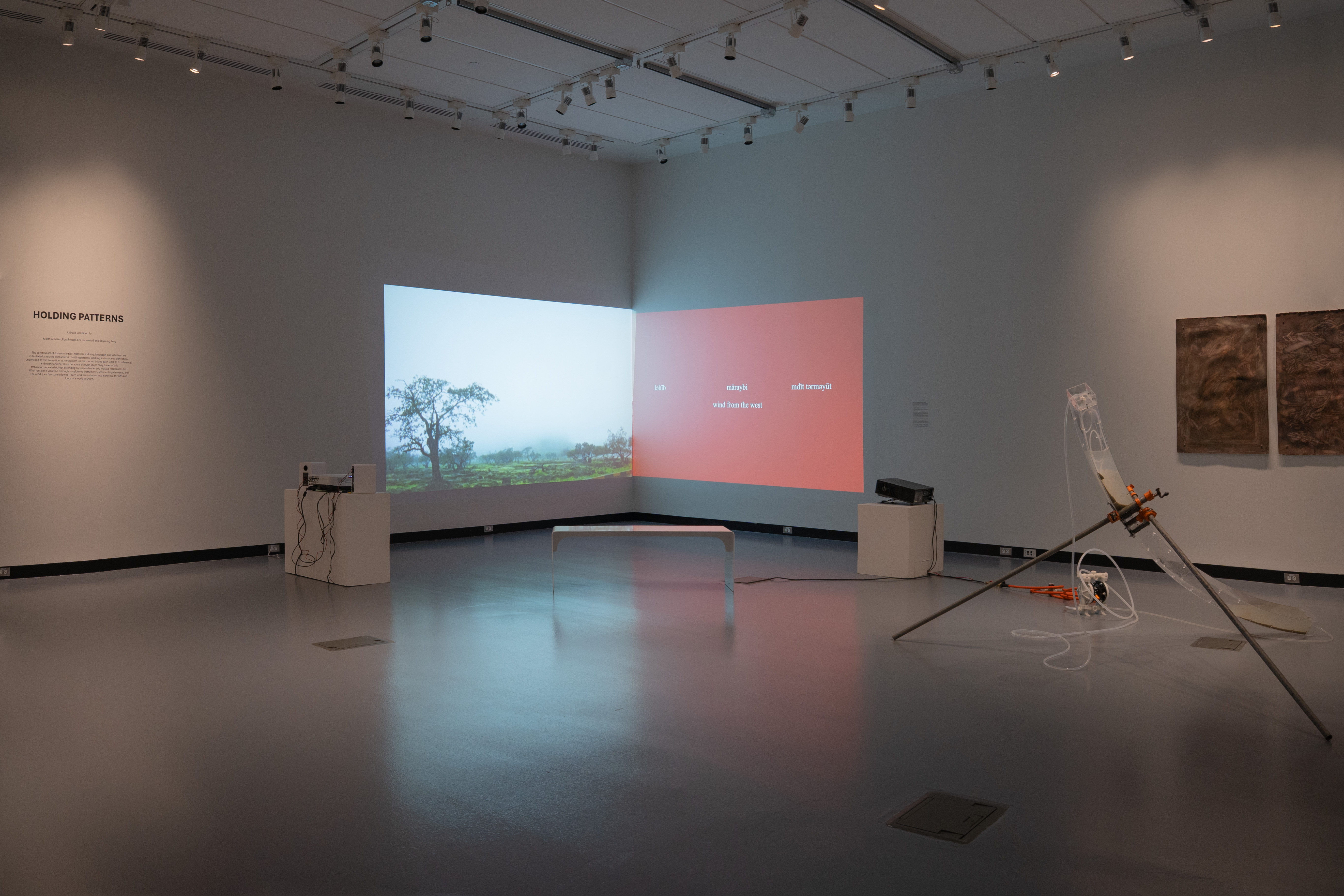 Photo of Holding Patterns installation by Eric Rannestad. Gallery 92, Harvard University. Allston, MA. 2026