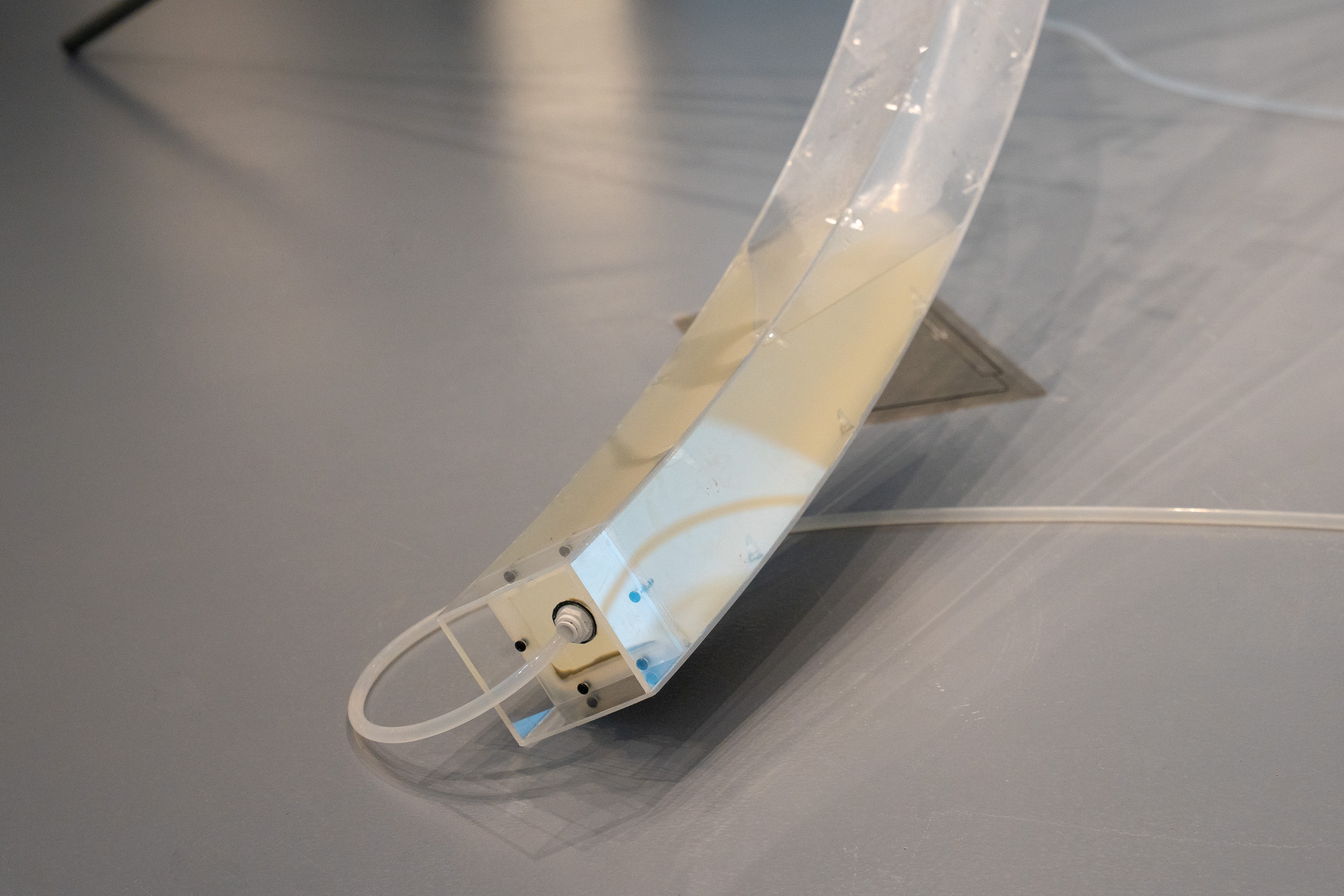 Photo of Holding Patterns installation by Eric Rannestad. Gallery 92, Harvard University. Allston, MA. 2026