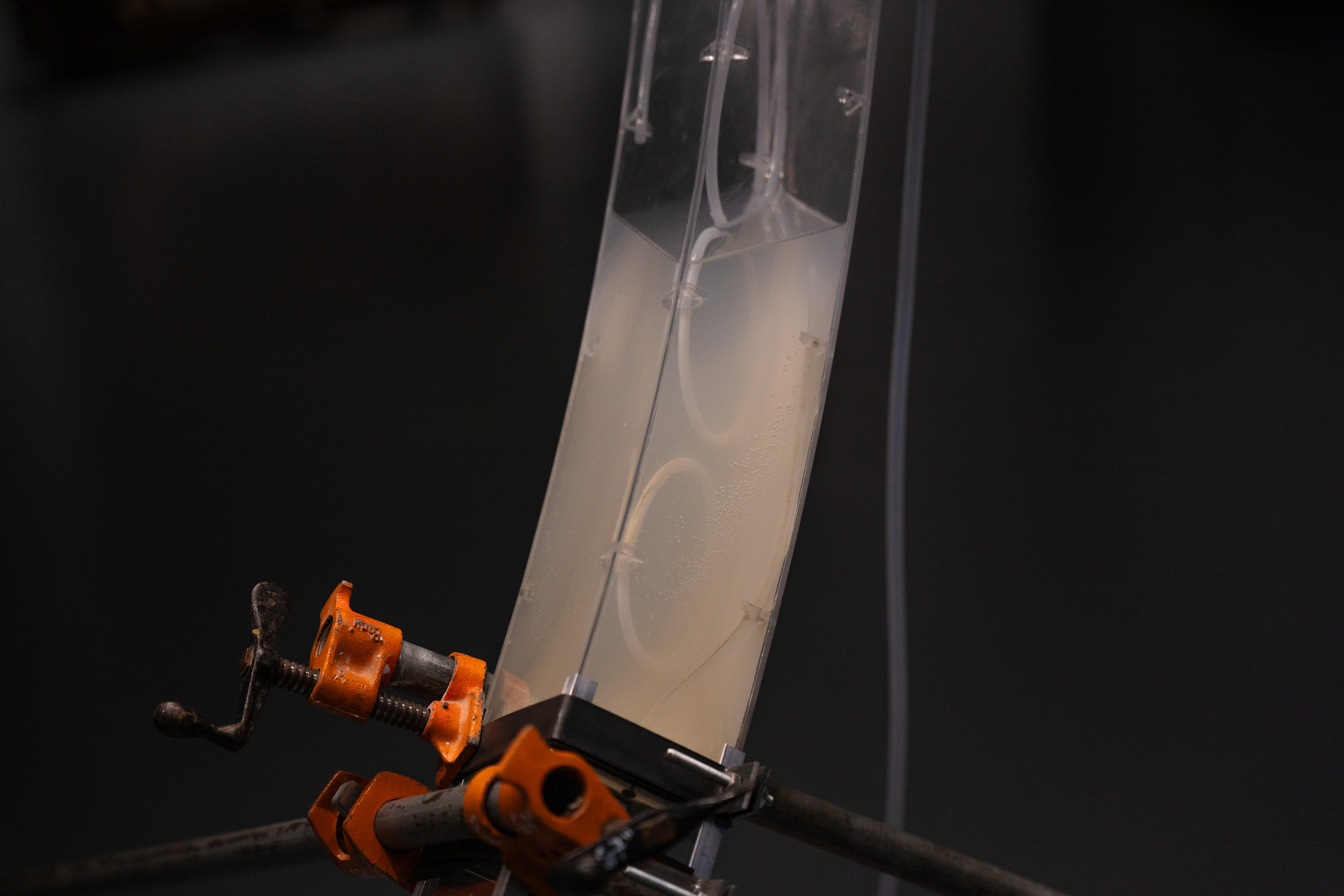 Photo of Holding Patterns installation by Eric Rannestad. Gallery 92, Harvard University. Allston, MA. 2026